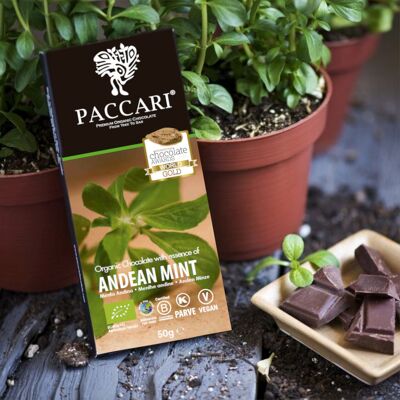 Cioccolato biologico menta andina, 60% cacao