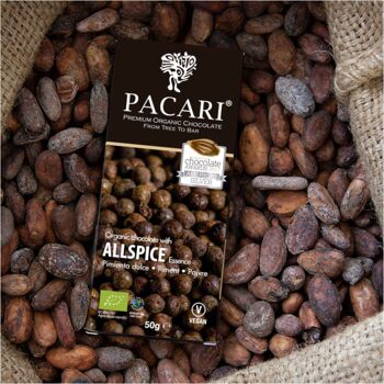 Piment de la Jamaïque au chocolat bio, 60% de cacao 1