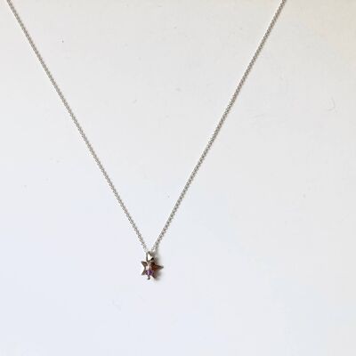 Polar Star Necklace - Amethyst (Plated Silver + French)
