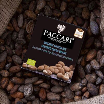 Granos de cacao orgánico, con cacao en polvo
