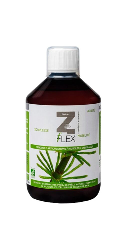 Z-Flex