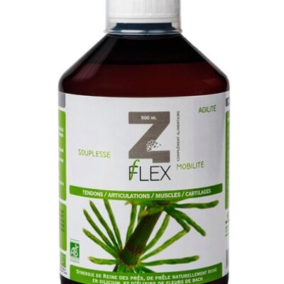 Z-Flex