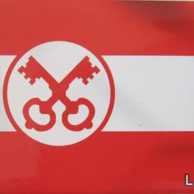 Kühlschrankmagnet Flagge Leiden