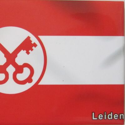 Imán de Nevera Bandera Leiden
