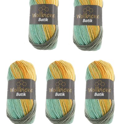Wollbiene Batik 5060 gradient yarn Color knitting yarn yarn wool