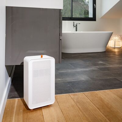 WHITE ORAIN DEHUMIDIFIER