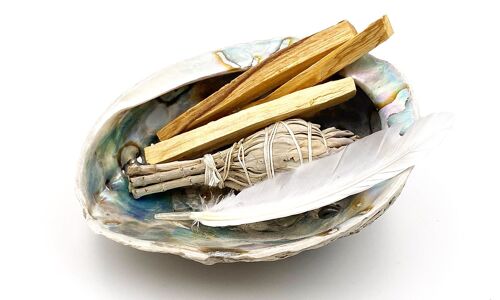 Abalone KIT purification (1 shell of 10-12 cm, 1 sage, 1 feather and 3 palo santo)