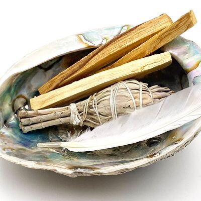 Abalone KIT purification (1 shell of 10-12 cm, 1 sage, 1 feather and 3 palo santo)