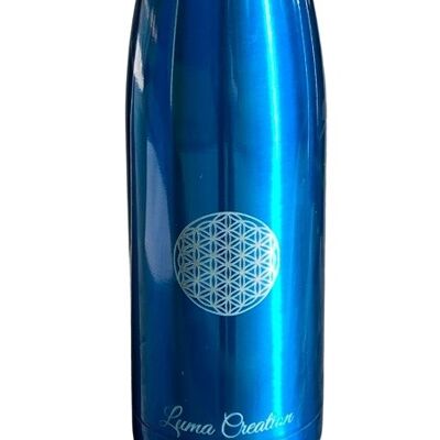 Insulated Water Bottle - Eco-Friendly Black
