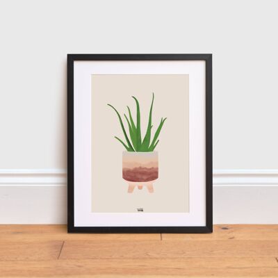 Aloe Vera Print , A4