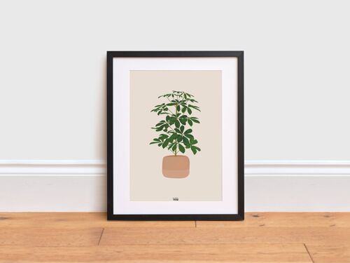Schefflera Plant Print , A3