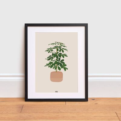 Schefflera Plant Print , A3