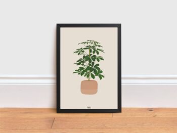 Impression de plantes Schefflera, A3 2