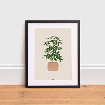 Schefflera Plant Print , A4