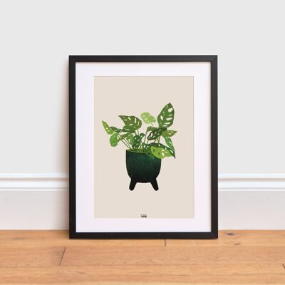 Swiss Cheese Plant Print , A3