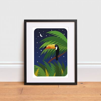 Toucan dans la jungle par impression de nuit,