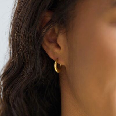 Gold Stainless Steel Moon Hoop Earrings