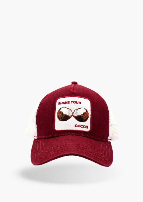 Shake your Cocos
