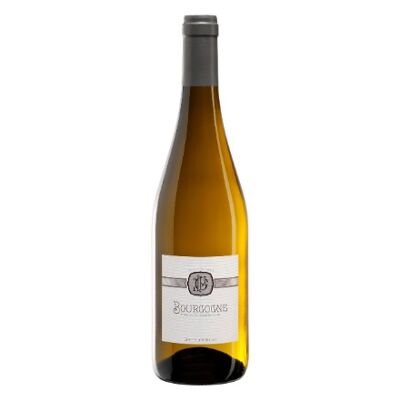 Domaine Guillot-Gonin Bourgogne Blanc "Mon Rêve" AOP