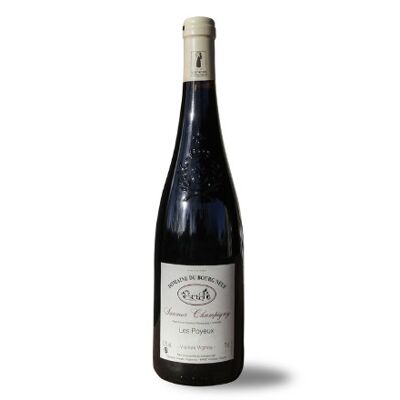 Domaine du Bourgneuf Saumur Champigny Vieilles Vignes AOP 2019