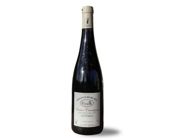 Domaine du Bourgneuf Saumur Champigny Vieilles Vignes AOP 2019