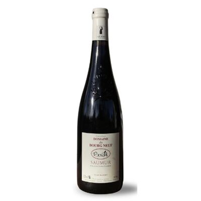 Domaine du Bourgneuf Saumur rouge AOP 2020