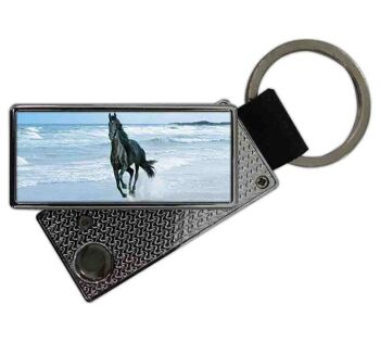 Briquet USB avec porte-clés Cheval Noir 1