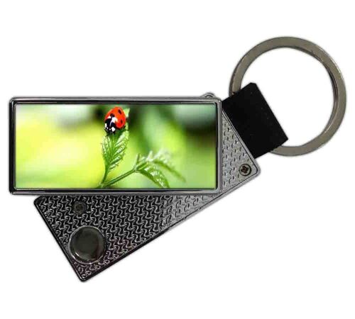 Accendino USB a Portachiavi Coccinella