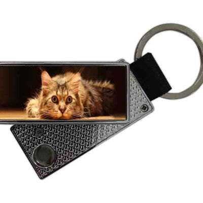 Chat Porte-clés USB Briquet