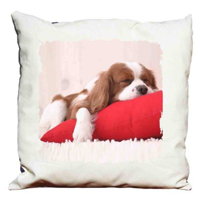Decorative pillow Puppy