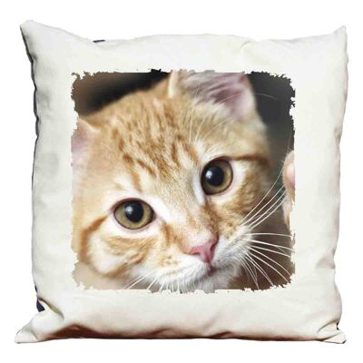 Kitten decorative pillow