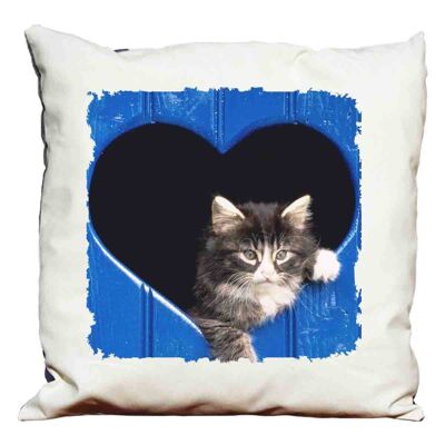 Kitten decorative pillow (version 4)