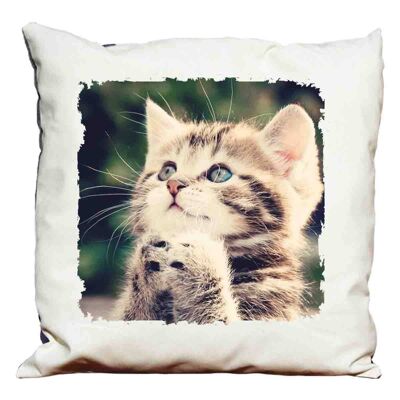 Kitten decorative pillow (version 3)