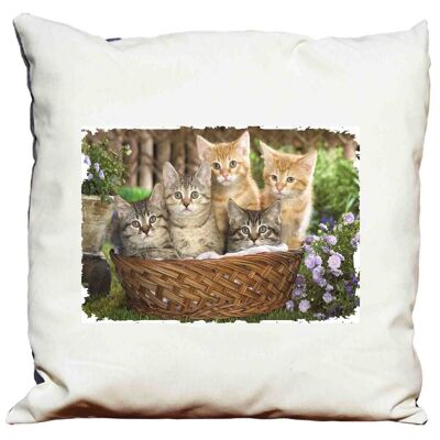 Cushion with padding 58 X 58 Kittens