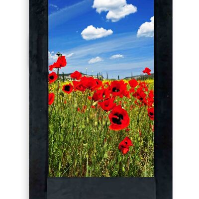Black poppies table lamp