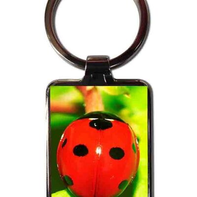 Ladybug steel keychain brings good luck