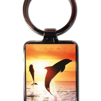 Dolphins steel keychain