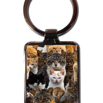 Steel keychain Cats