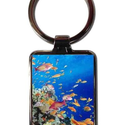 Steel keychain Tropical fish