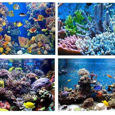 Lot de 4 sets de table plastifiés Aquariums