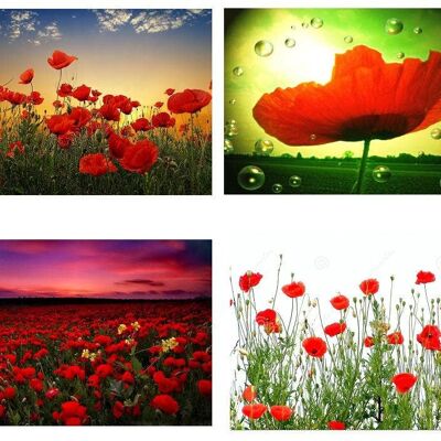 Set of 4 Poppies plastic-coated placemats