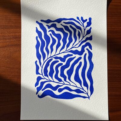 Kelp - Stampa linoleum A4 - Blu