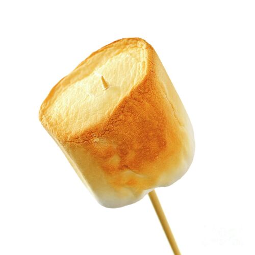 Toasted Marshmallow Highly Concentrated Professional Flavouring. Over 200 Flavours!