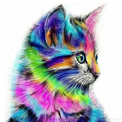 Diamond Painting Colourful Kitten, 40x40 cm, Round Drills