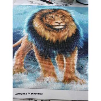 Diamon Peinture Lion, 50x50 cm, Forets Ronds 8