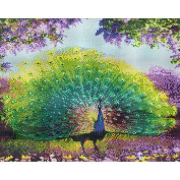 Diamant Peinture Beau Paon, 40x50 cm, Forets Ronds 6