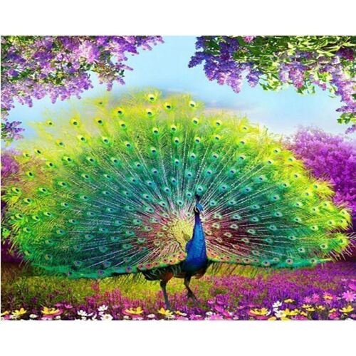Diamond Painting Lovely Peacock, 40x50 cm, Round Drills