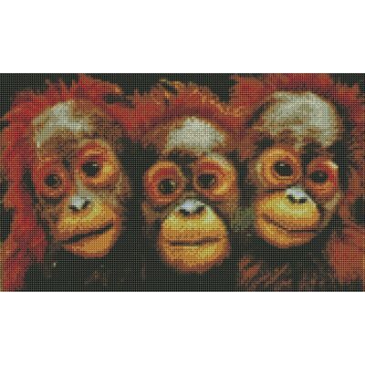 Diamond Painting Monkeys, 30x50 cm, Round Drills