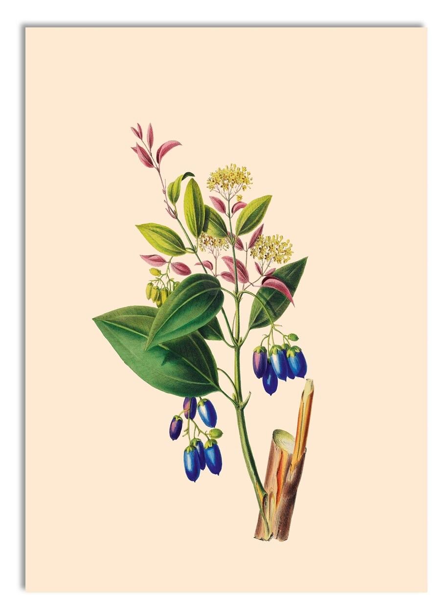 Stampa in miniatura A5 Swing