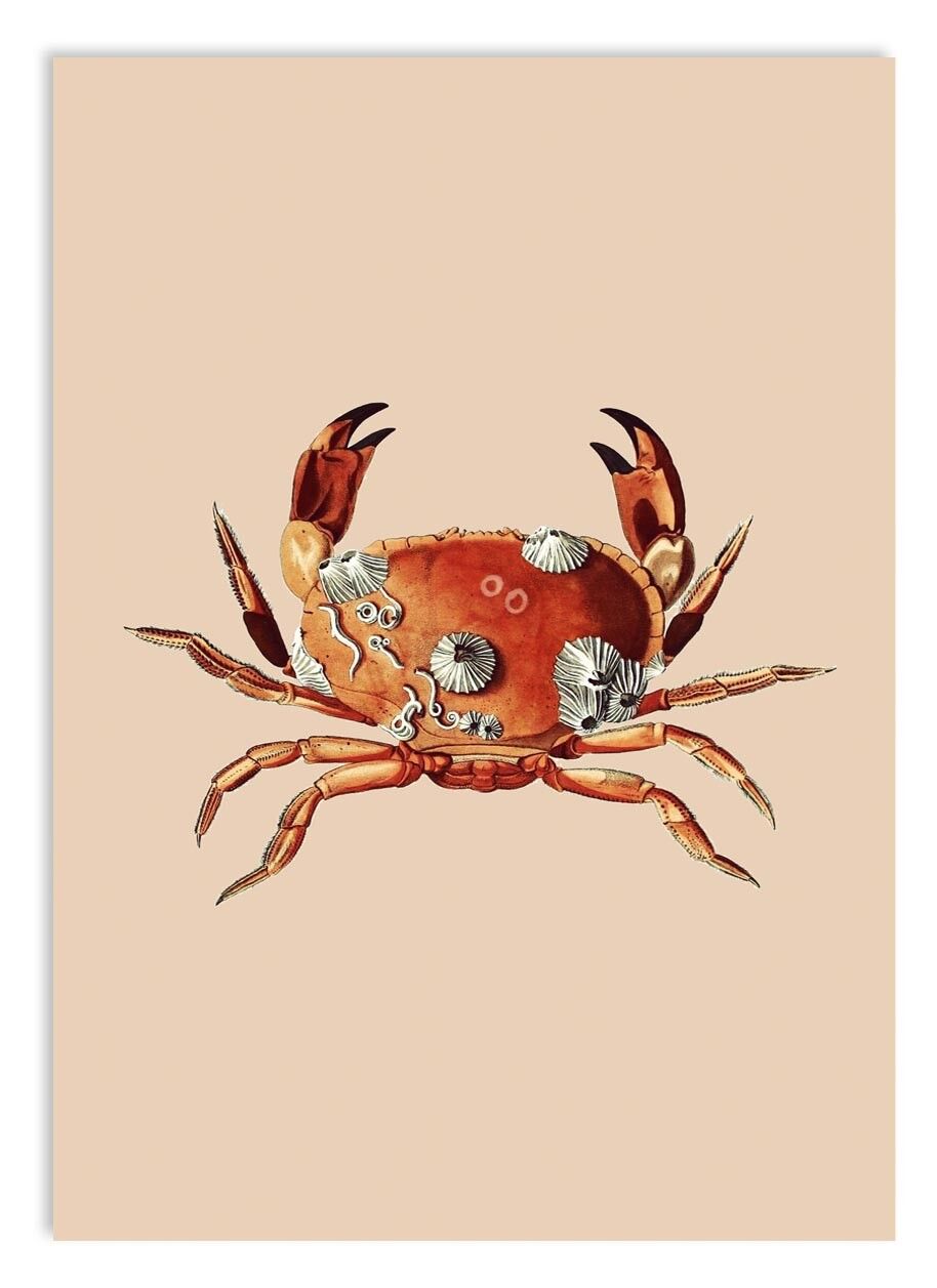 Ministampa A5 Vacanza